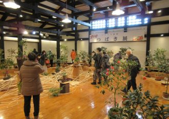 第１９回つばき展　多目的室４